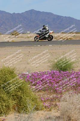 media/Mar-12-2023-SoCal Trackdays (Sun) [[d4c8249724]]/Turn 15 Inside Bloom (130pm)/